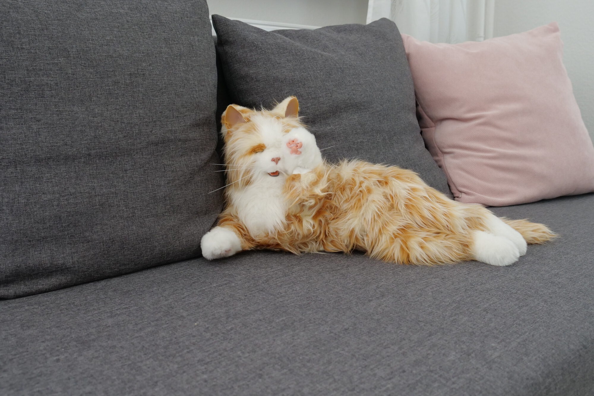 eine Roboter-Katze soll Demenzkranken zukünftig Gesellschaft leisten
