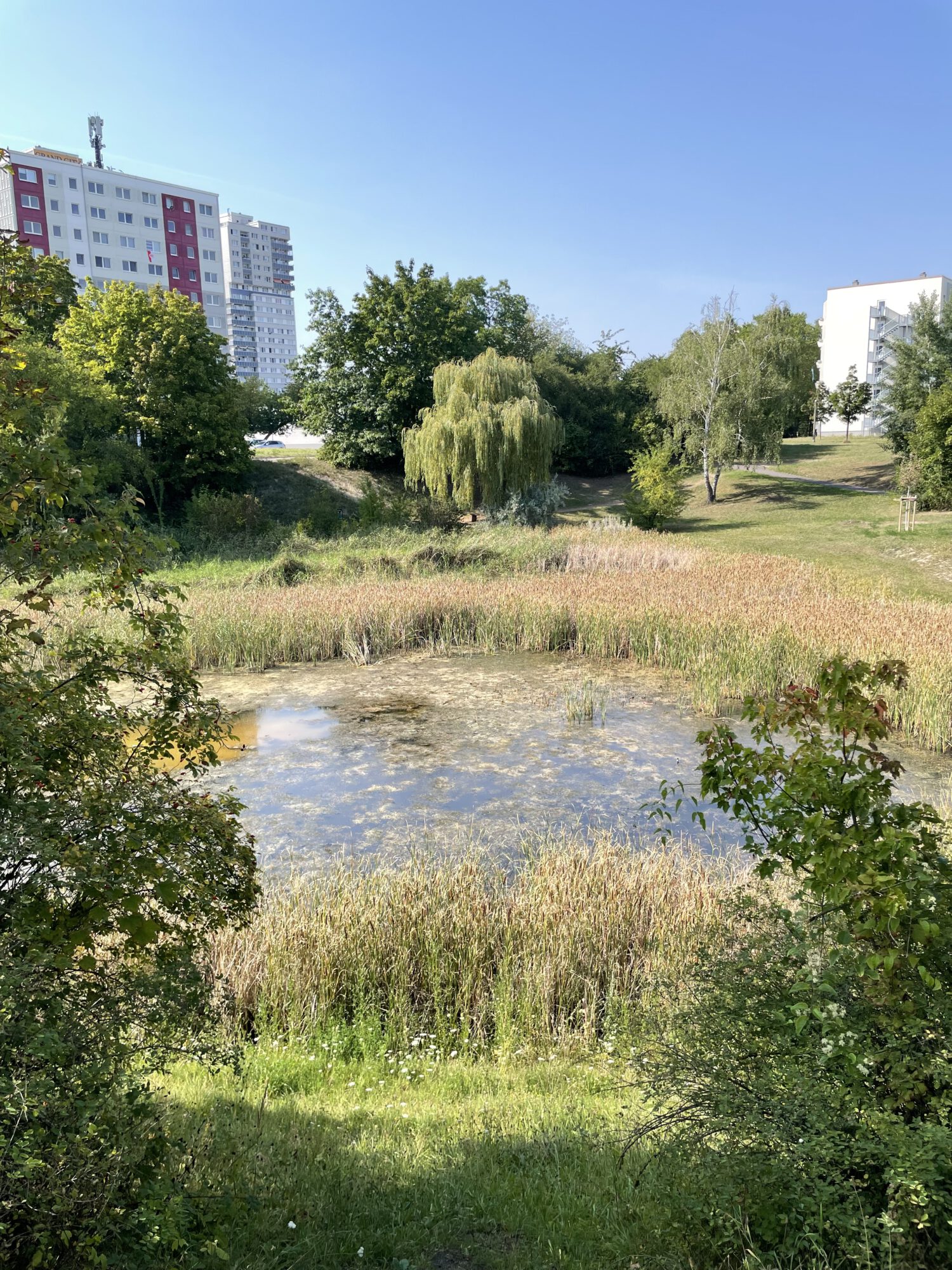 Kleiner Teich