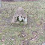 Die Schildkröte