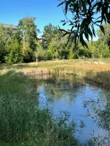Kleiner Teich